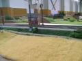 img037.jpeg.small.jpeg