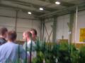 img041.jpeg.small.jpeg